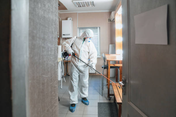 Best Industrial Mold Remediation  in Lima, OH