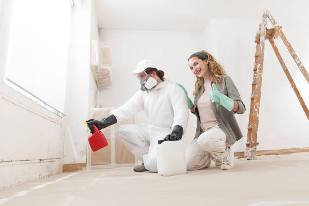 Best Mold Prevention Services  in Lima, OH